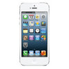 Apple iPhone 5 16Gb white - Псков