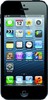 Apple iPhone 5 16GB - Псков